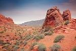 desert, sandstone, landscape