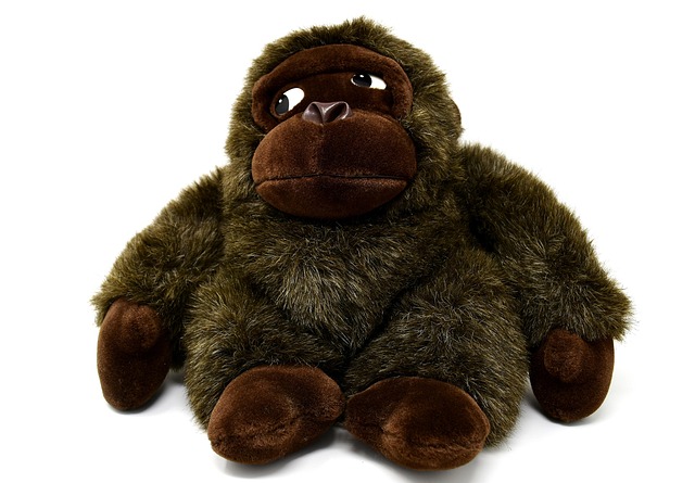 Free Ape Gorilla photo and picture