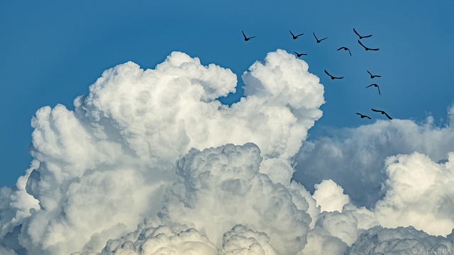 Natur, Himmel, Draußen, Wetter, Wolke