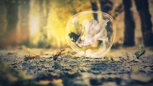 Free Nature Wallpaper photo and picture