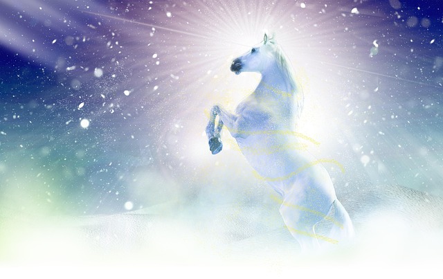 winter, christmas, space, snow, nature, horse, apassionata, dream, winter landscape, animal, first snow