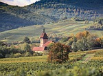 agriculture, landscape, nature