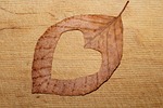 heart, cut, leaf