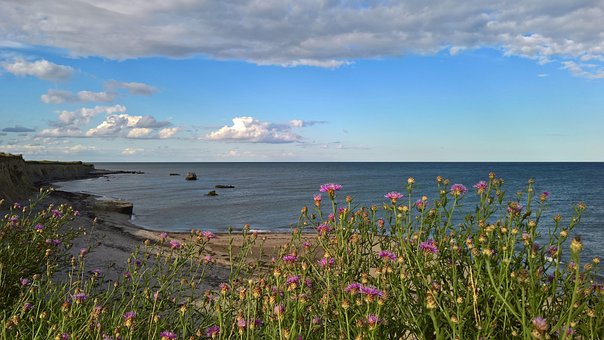 Free Sea Landscape photo and picture