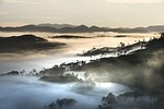 da lat, vietnam, planting