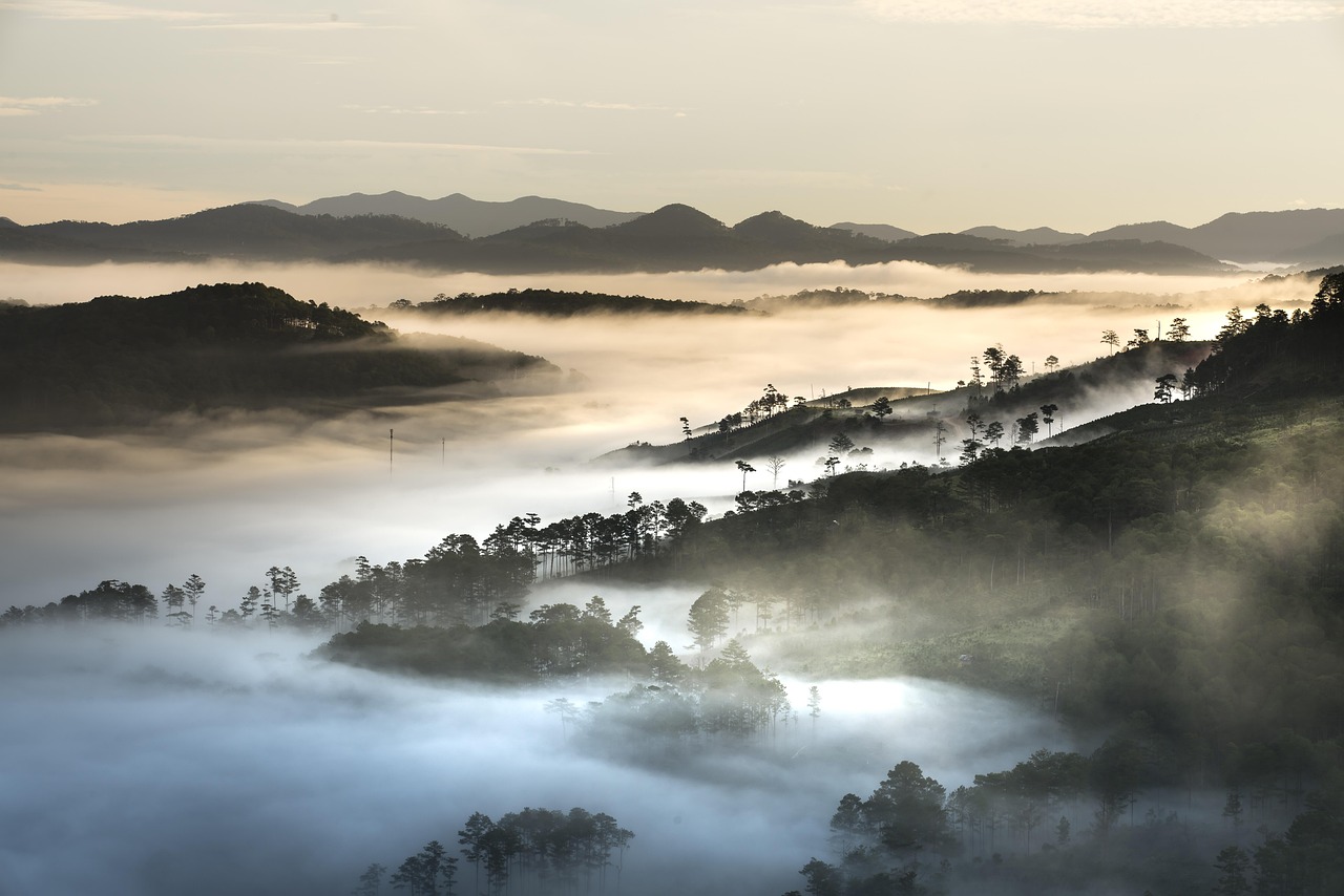 เที่ยวภูเขา ชมทะเลหมอกและวิวธรรมชาติสวยงาม