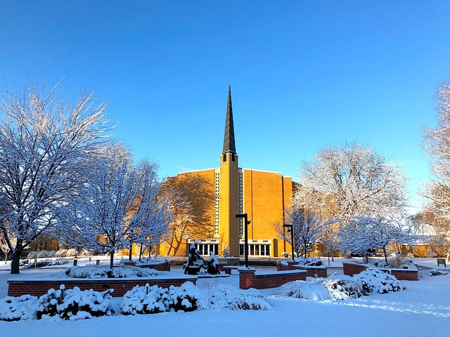 Free Winter Snow photo and picture