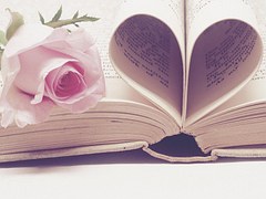 Literature, Book Bindings, Page