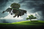 whale, grass, cloud