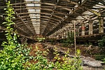 industry, wood, indusdtrie building