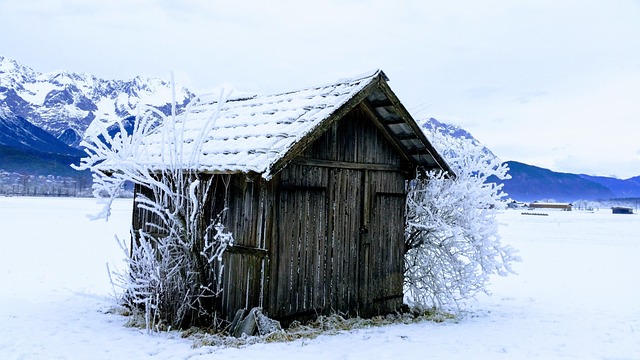 Free Snow Winter photo and picture