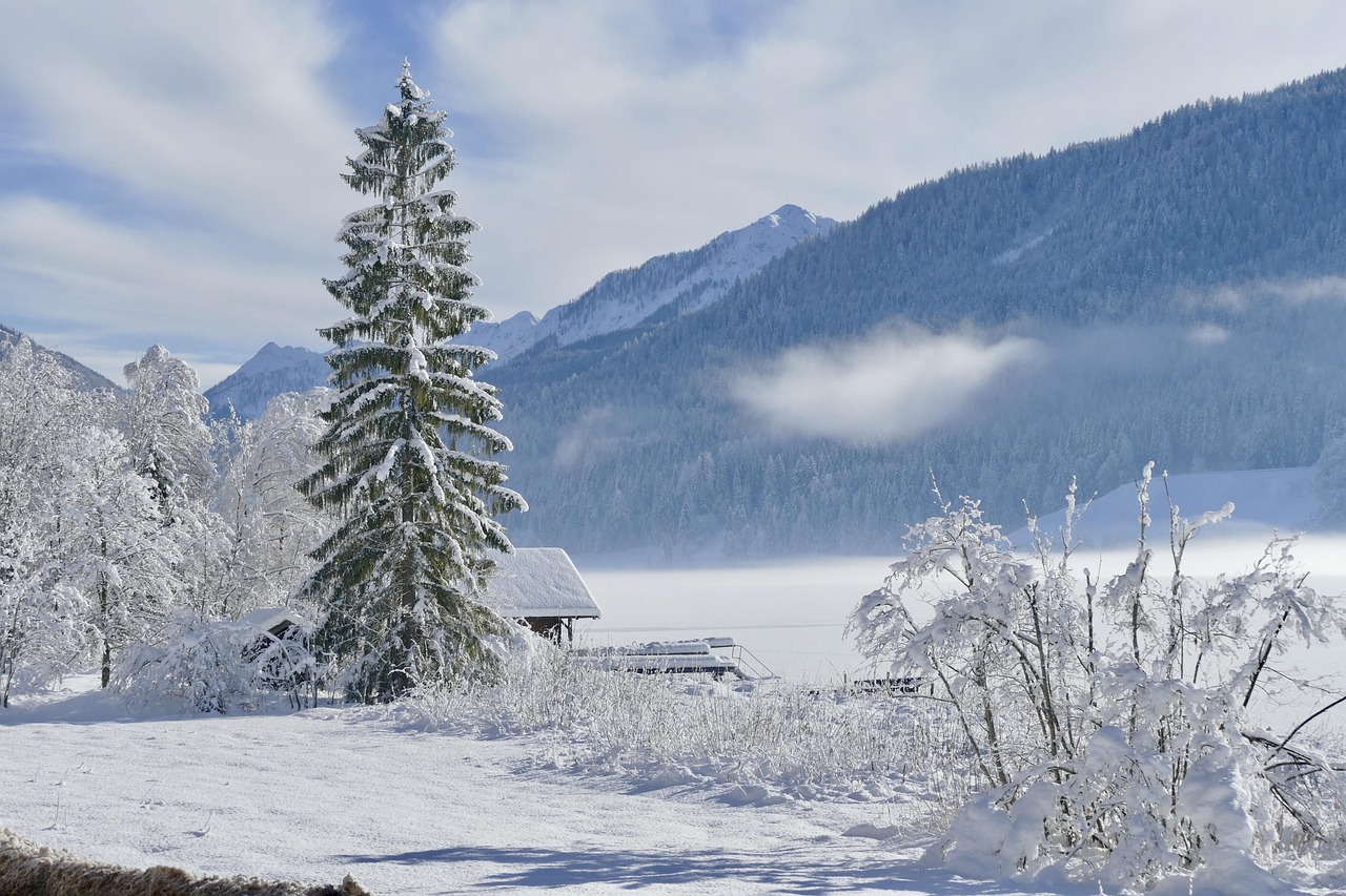 xmas landscape pictures