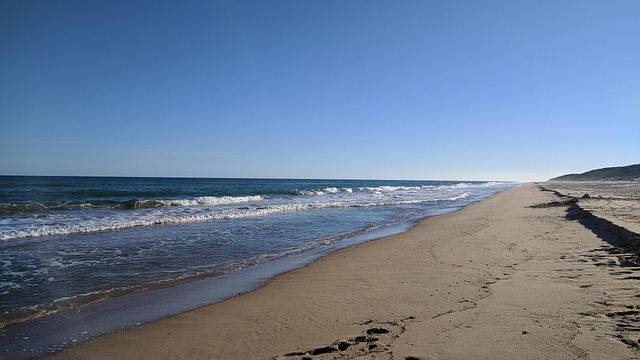 Free Sand Water photo and picture