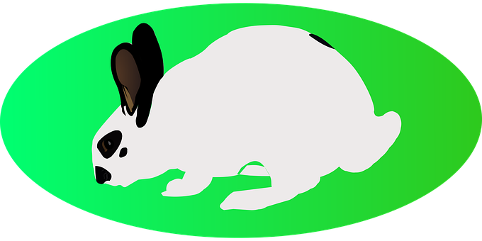 Free Easter White Rabbit illustration and picture
