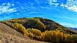 turkey, autumn, season