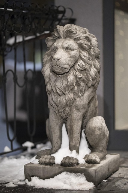 Free Mammal Lion photo and picture