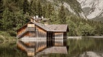 wood, nature, waters