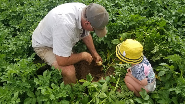 Free Farm Agriculture photo and picture
