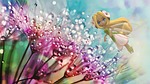 flower, nature, bright