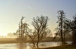 river, water, flood
