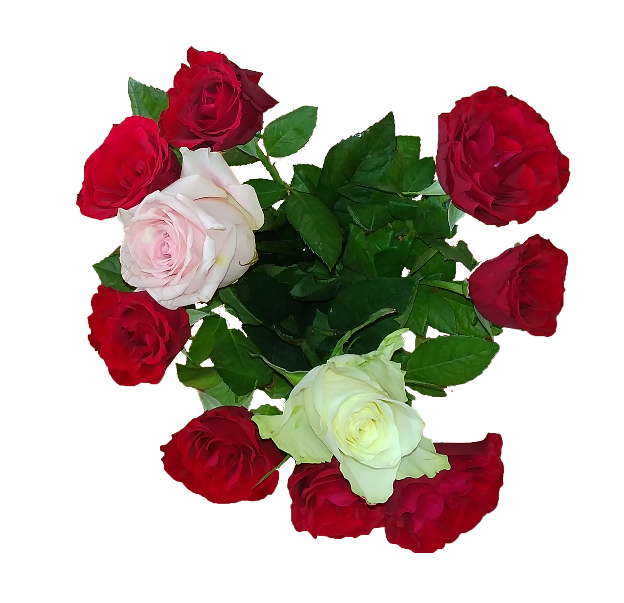 Rose Bunch Of Flowers Love Give A Free photo on Pixabay Pixabay
