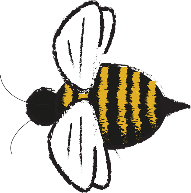 Free nature insect bee vector