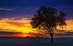 sunset, nature, the dawn family