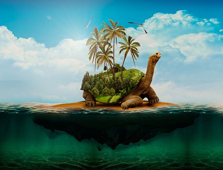 Free Body Of Water Sea photo and picture