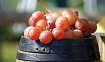 fruit, food, healthy