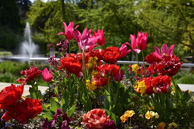 Free Flower Garden photo and picture