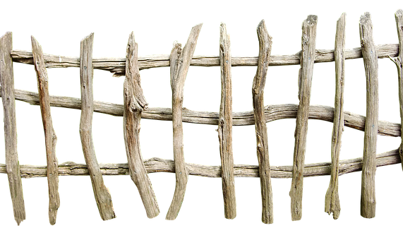 Plot, Dřevo, Kostnatý, Příroda, Zvětralý