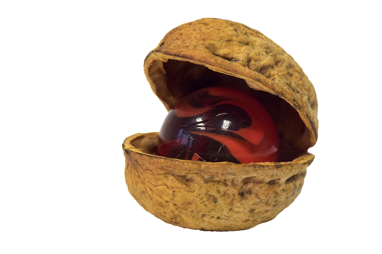 Nut Nutshell Walnut Free photo on Pixabay Pixabay