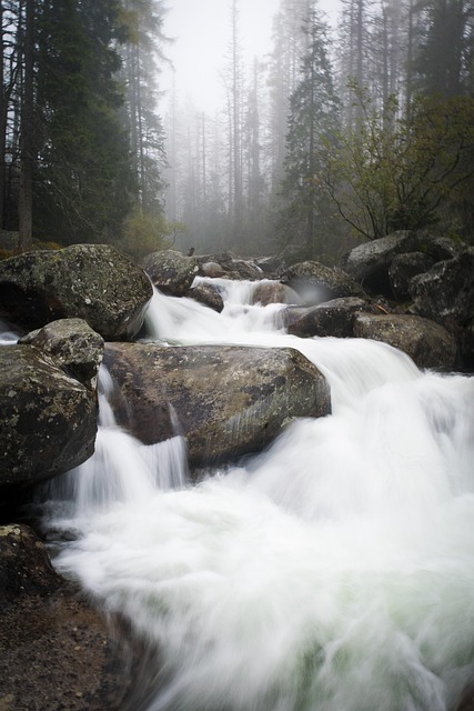 Free Water Waterfall photo and picture