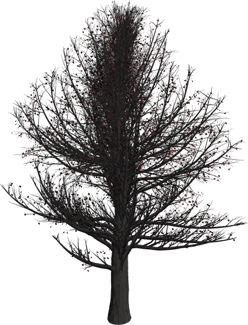 Free tree isolated nature illustration