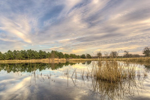 Free Reflection Nature photo and picture