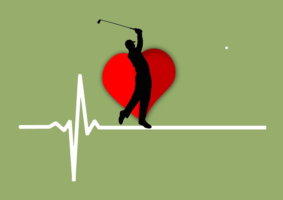 Heartbeat Line Art : Heartbeat pulse frequency heart · free image on pixabay