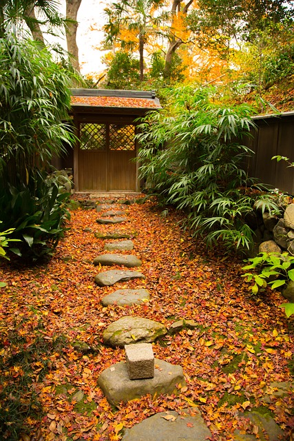 Holz, Blatt, Garten, Park