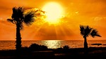 sunset, silhouetted, sun
