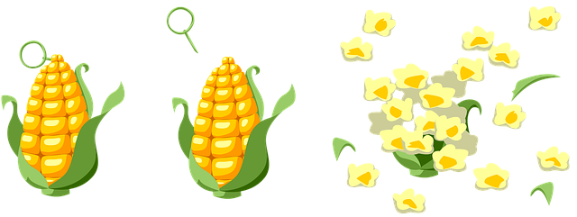 Free corn explosion popcorn illustration