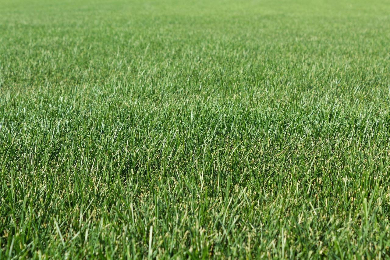 Grass Field Haymaking - Free photo on Pixabay - Pixabay