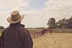 cowboy hat, cowboy, man