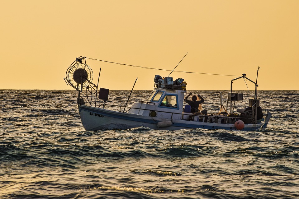 Bait Basics: Essential Tips for Every Angler