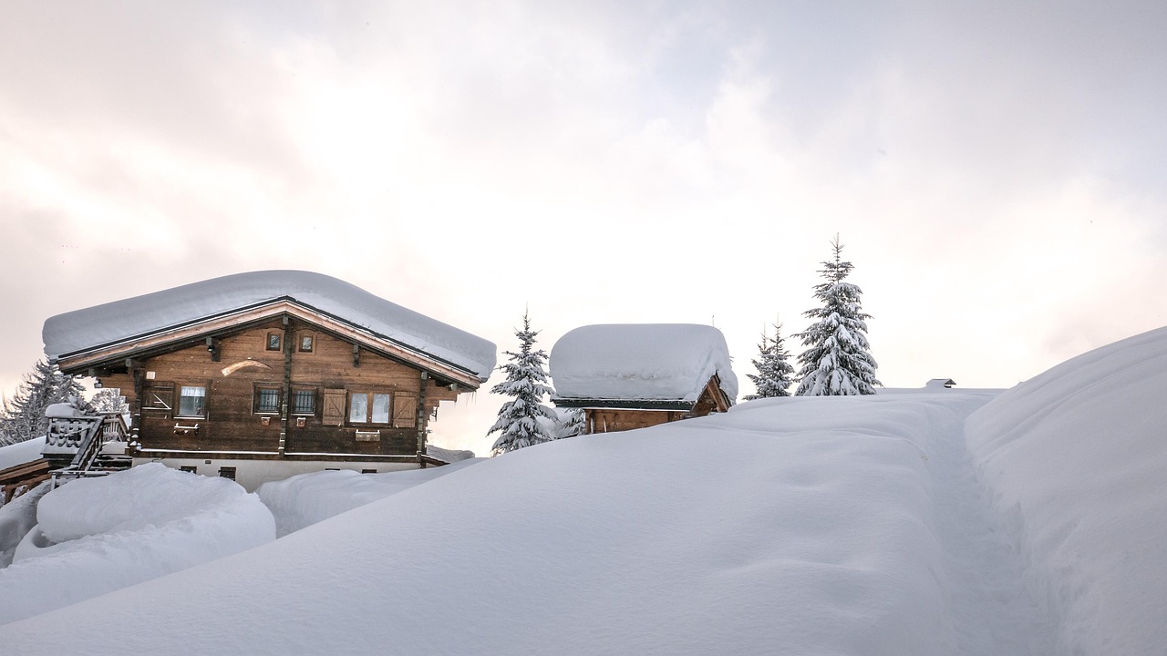 Snow - free online jigsaw puzzle photo