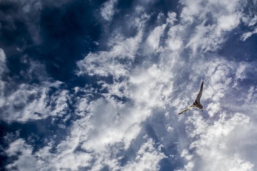 Free Sky Nature photo and picture