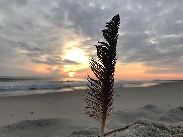 Feder, Sonnenaufgang, Strand, Sand