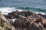 sea, waters, coast