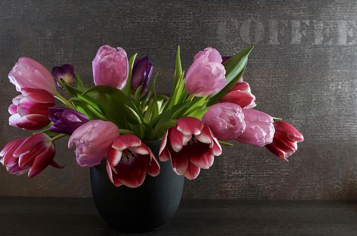 超过80 张关于 开花期 和 开花 的免费图片 Pixabay