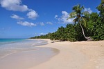 sand, beach, tropical