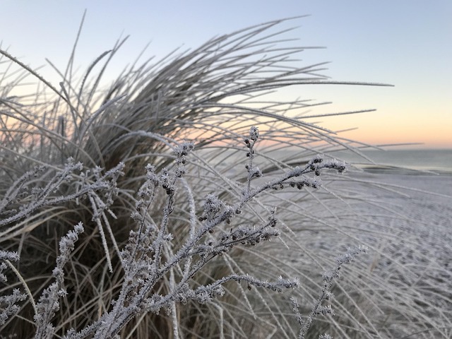 Winter, Strand, Eis, Reif, Meer, Natur