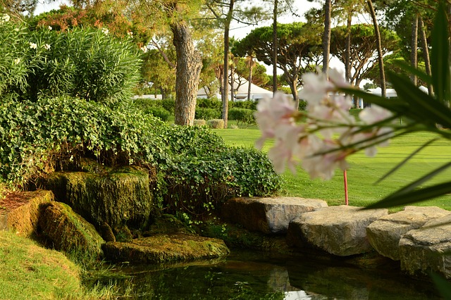 Free Garden Nature photo and picture